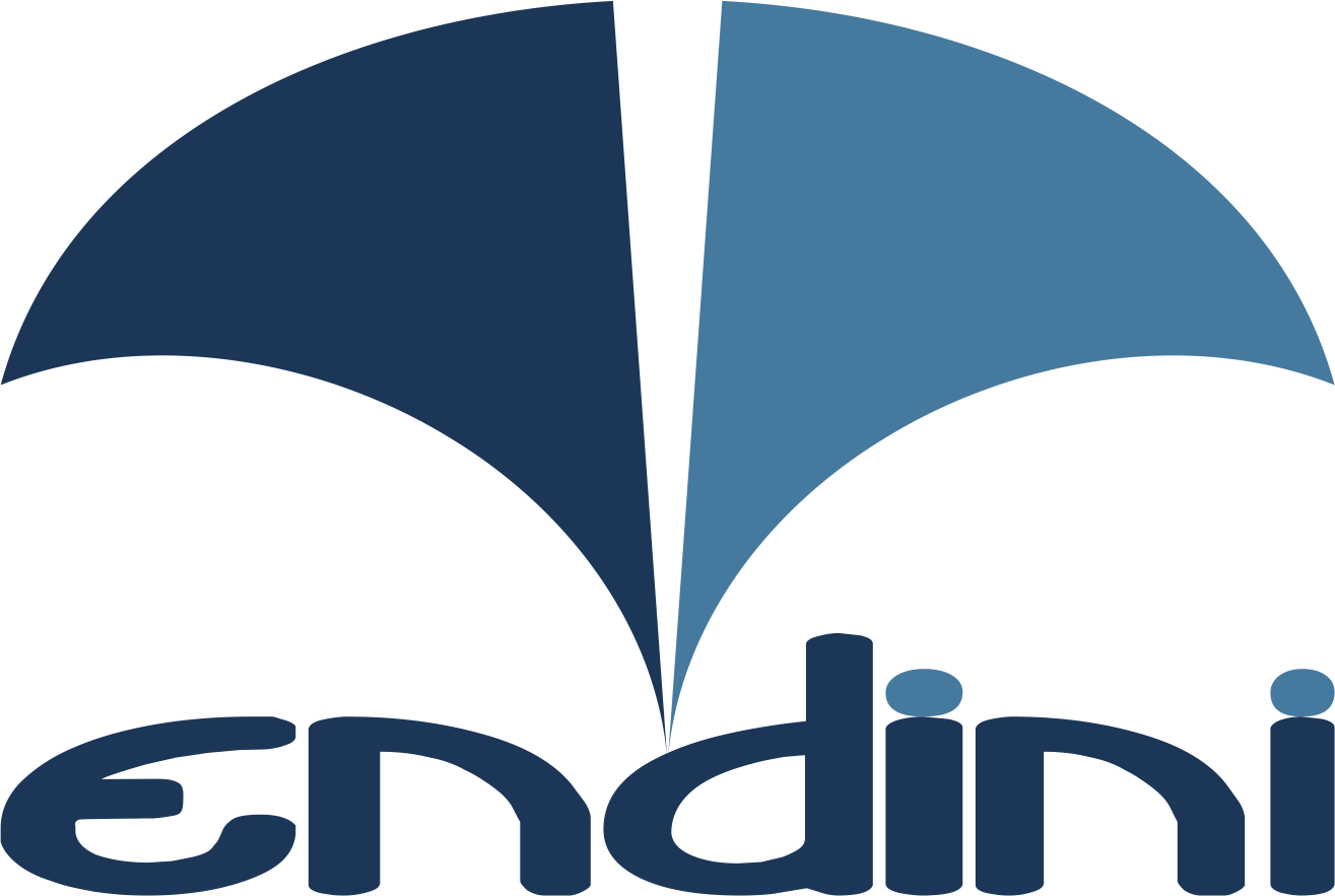 Endini